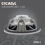 Load image into Gallery viewer, Cicada CX65