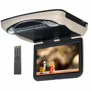 Movies 2 Go 10.1" Overhead video system